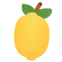 Drawing of lemon isolated on transparent background for usage as an illustration, food, fruits and eating concept png