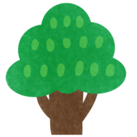 Drawing of green tree on transparent background for usage as an illustration, nature decoration and springtime concept png