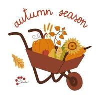 Autumn vegetables in garden trolley. Harvest gathering time. Autumn season colorful composition with quote inscription. vector