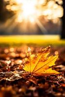 Abstract autumn background, beautiful countryside nature with autumnal leaves and bokeh, photo