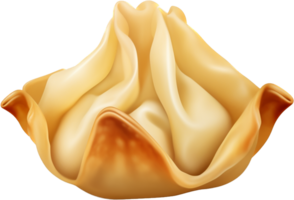 Wonton png with AI generated.