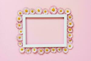 Summer or spring composition on a pink background. Daisy flowers with a white frame with a top view of the copy space. Summer, spring flower concept. photo
