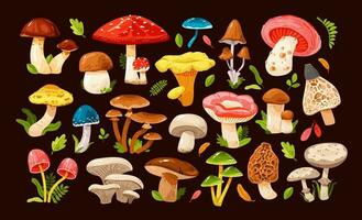 hongos de varios tipos colocar. comestible y venenoso hongos. bosque césped y hojas. dibujos animados vector ilustración.