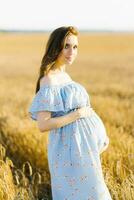 un embarazada mujer en un azul vestir soportes en un campo de centeno a puesta de sol y sostiene su manos en su estómago foto