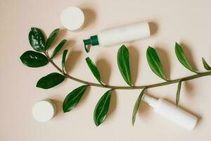 White cosmetic jar and a bottle of cream with a top view of the leaves of plants, a mock-up of the product design. Natural organic cosmetics photo