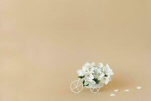 A white retro toy bicycle delivering white apple blossoms on a beige background. Valentine's day card, birthday gift, Women's Day. Delivery of holiday goods. Spring concept with copy space photo