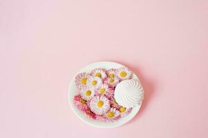 Creative composition. Flowers daisies and marshmallows on a plate with copy space photo