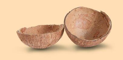 coconut empty shell top view isolated on nude color photo