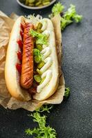 caliente perro rápido comida emparedado embutido, pepinillo, salsa de tomate, mayonesa comida comida bocadillo en el mesa Copiar espacio comida antecedentes rústico parte superior ver foto