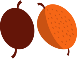 quercia ghiande, pino coni, frutta, autunno autunno decorazione elemento, piatto stile illustrazione. png