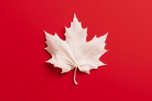 Canadian flag white leaf on red background. Flat lay, top view. copy space. photo