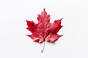 Happy Canada Day red silk maple leaf on white textured wall, copy space. photo