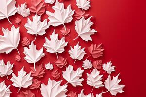 Canadian flag white leafs on red background. Flat lay, top view. copy space. photo
