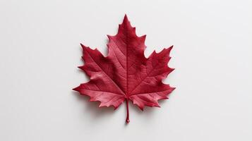 Happy Canada Day red silk maple leaf on white textured wall, copy space. photo