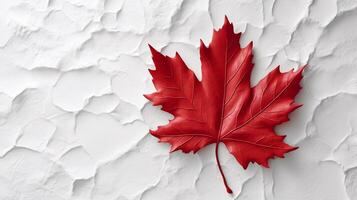 Happy Canada Day red silk maple leaf on white textured wall, copy space. photo