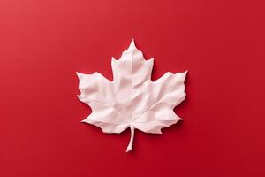 Canadian flag white leaf on red background. Flat lay, top view. copy space. photo