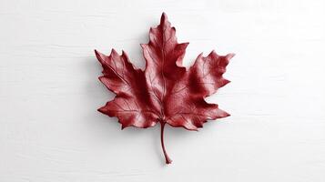 Happy Canada Day red silk maple leaf on white textured wall, copy space. photo