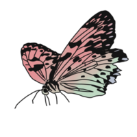Colorful butterfly flying png