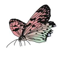 bunt Schmetterling fliegend png