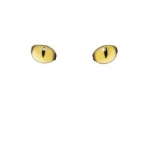 gato olhos encarando png