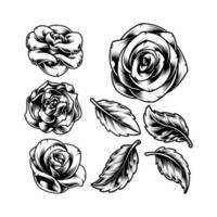 rosas y Rosa hojas vector
