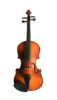 the violin isolated png