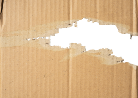 torn hole cardboard isolated png