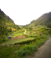 strada in montagna png