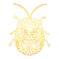 A golden beetle in a linear style. Linear illustration png