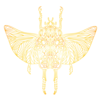 A golden beetle in a linear style. Linear illustration png