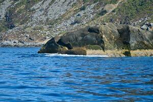 norway on the fjord, spray on rocks. Water splashes on the stones. Coastal landscape photo