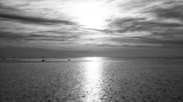 Sunset, seagull in the sky. Light waves. Black and white shot. On the Baltic Sea. photo