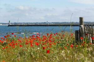 Le Croisic wild coast photo