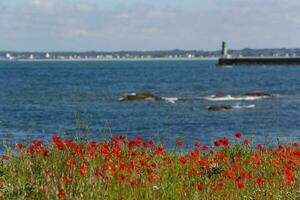 Le Croisic wild coast photo