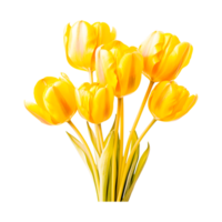 tulp bloem boeket grafiek, liefde tulpen generatief ai png