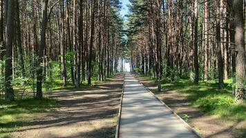 pathway to the sea in Lithuania video