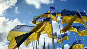 Flaggen von Ukraine im EU, Zeichen von Solidarität im das Kampf zum Freiheit gegen das Russisch Besatzer. gegen das Blau Himmel. Slawe ukrainisch video