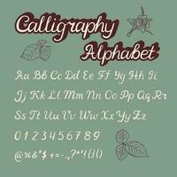 Hand drawn retro calligraphy monoline alphabet design. Vintage typeface. Handwritten brushpen font with latin lettersand signs ink painted script. Perfect for lettering design posters vector