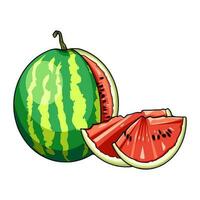 FRUIT FOR A HEALTHY LIFESTYLE vector