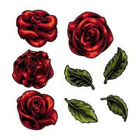 ROSES AND ROSE LEAVES vector