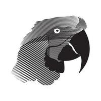 Parrot head isolated on white background. Black and white vector illustration.