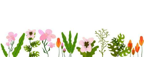 Horizontal white banner or floral background decorated with pretty colorful blooming flowers and leaves border vector
