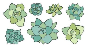 Vector doodle Succulent set, hand-drawn Desert Herb, Isolated on white floral stickers