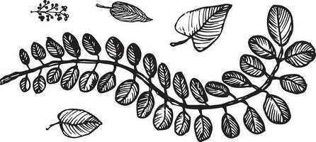 branch of a tree with leaves and flowers engraved vintage retro graphic style vector