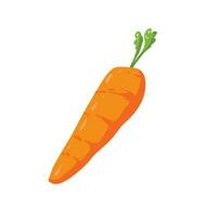 Carrot fruit cartoon vector illustration