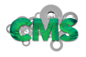 CMS Content Management System 3D Concept png