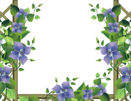 bloemen pergola illustratie png