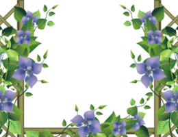 Floral Pergola Illustration png