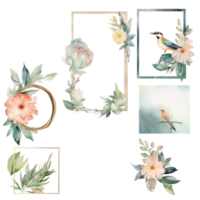 Watercolor Set of Birds with Flowers and Three Frames. png