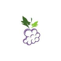 Modern Fruit Grape Logo Template vector